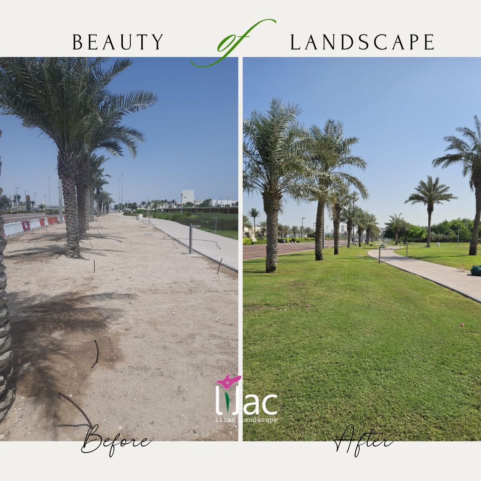 Completed landscape with pathway and planting