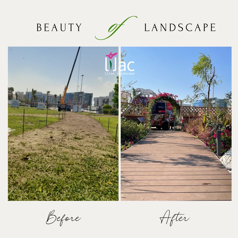 Mature garden planting in a Qatar landscape