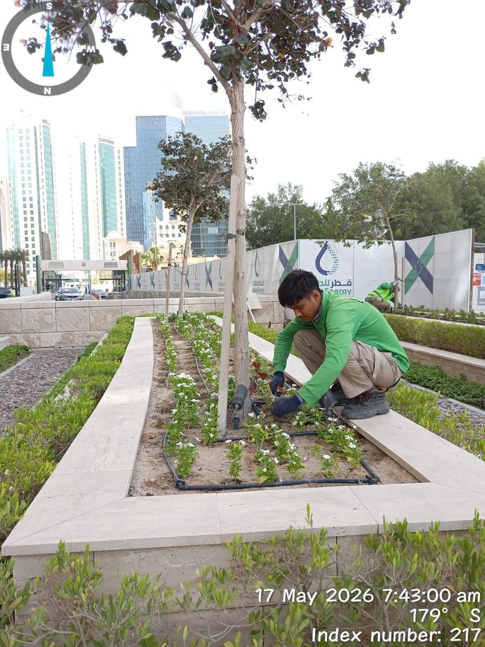 Soft landscape along the Lusail International Circuit road network