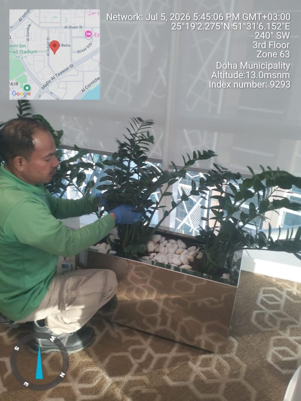 Nursery stock and planting work at Green Tech Qatar