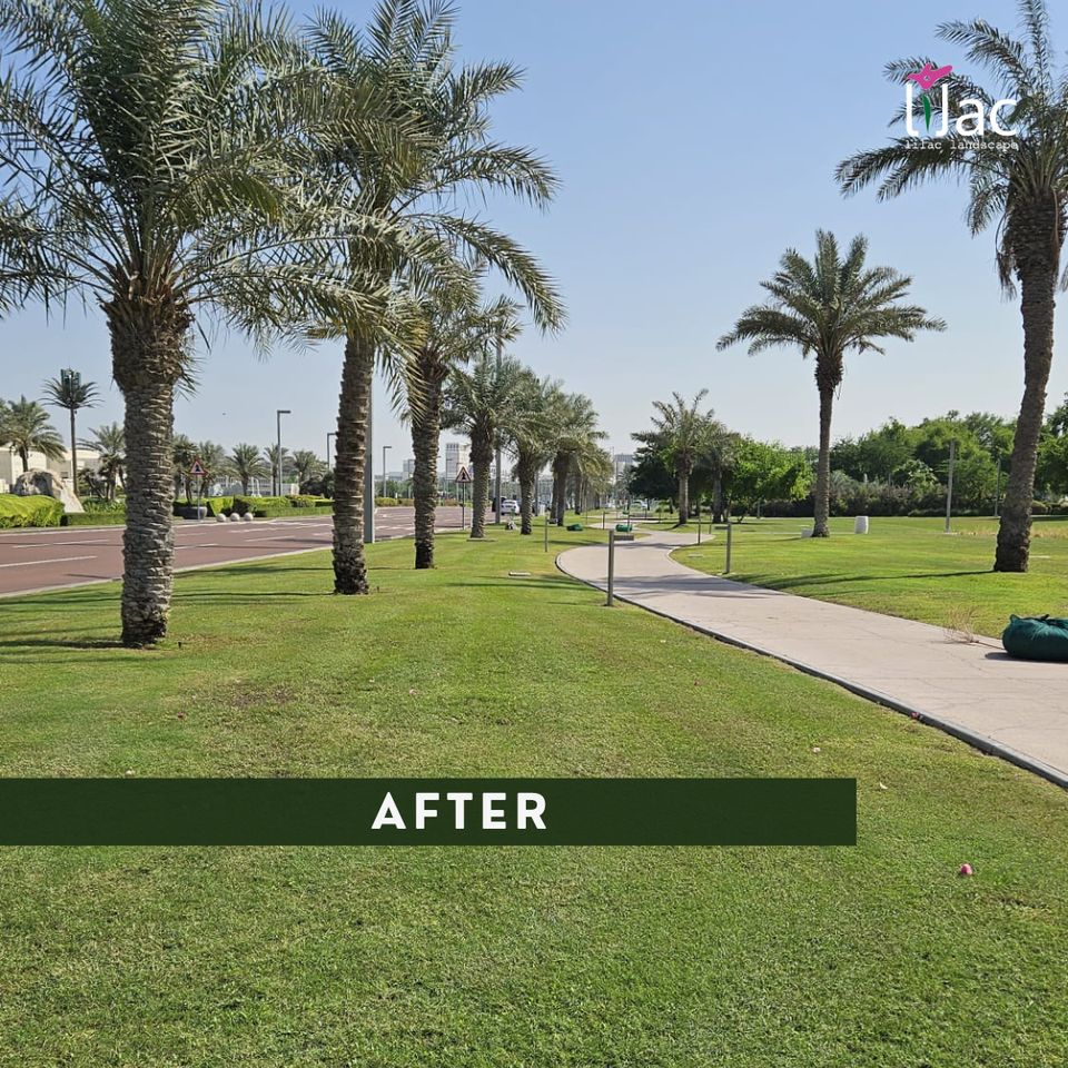 After — Road corridor — bare verge to established planting