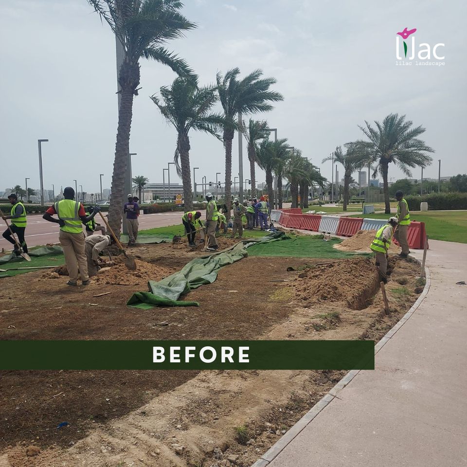 Before — Road corridor — bare verge to established planting