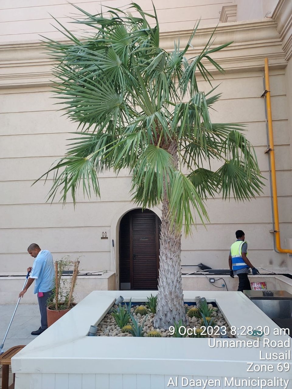 Private residential planting scheme in Doha